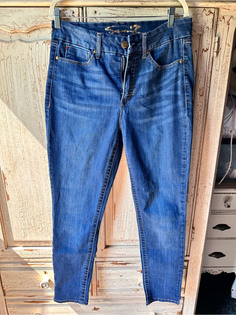 Seven7 Women's Skinny Jeans in Blue